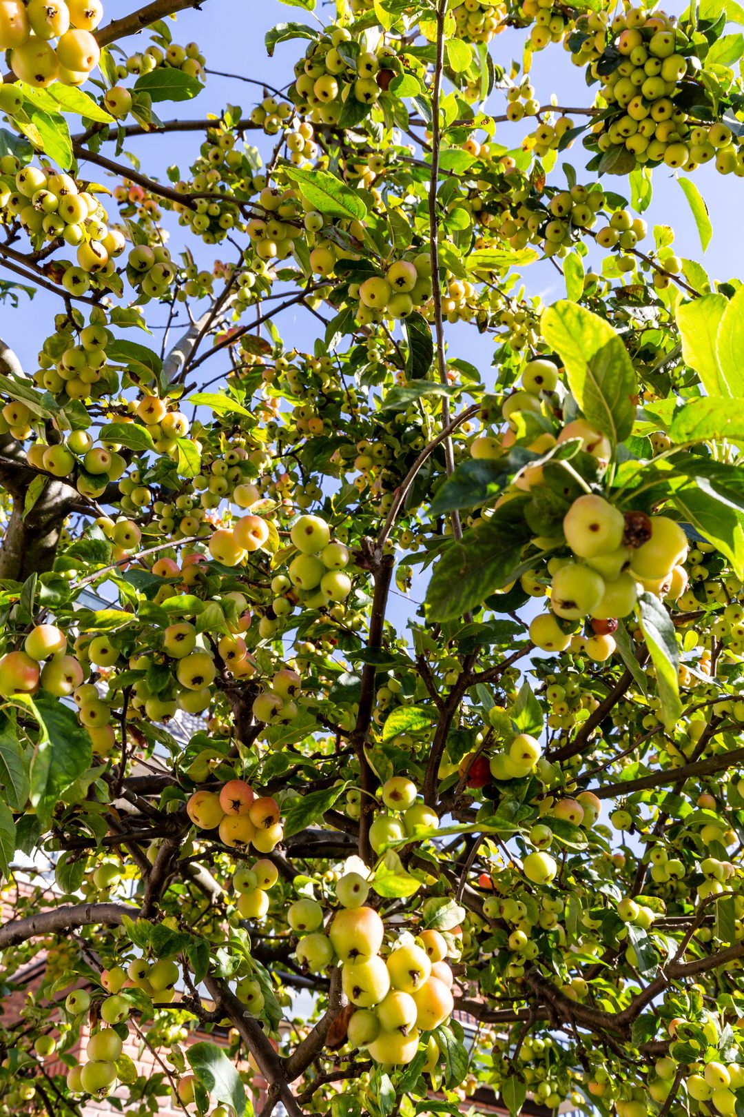 Foto 23 van Heemsteedse Dreef 127