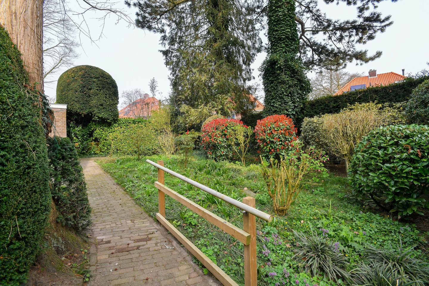 Foto 44 van Dillenburglaan 4