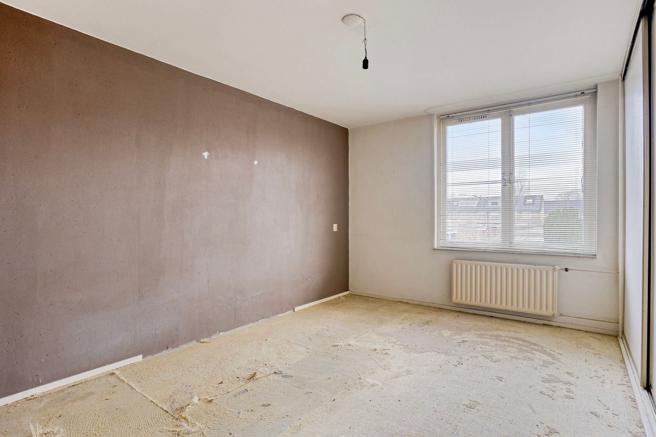 Photo 3 of Wolgastraat 32