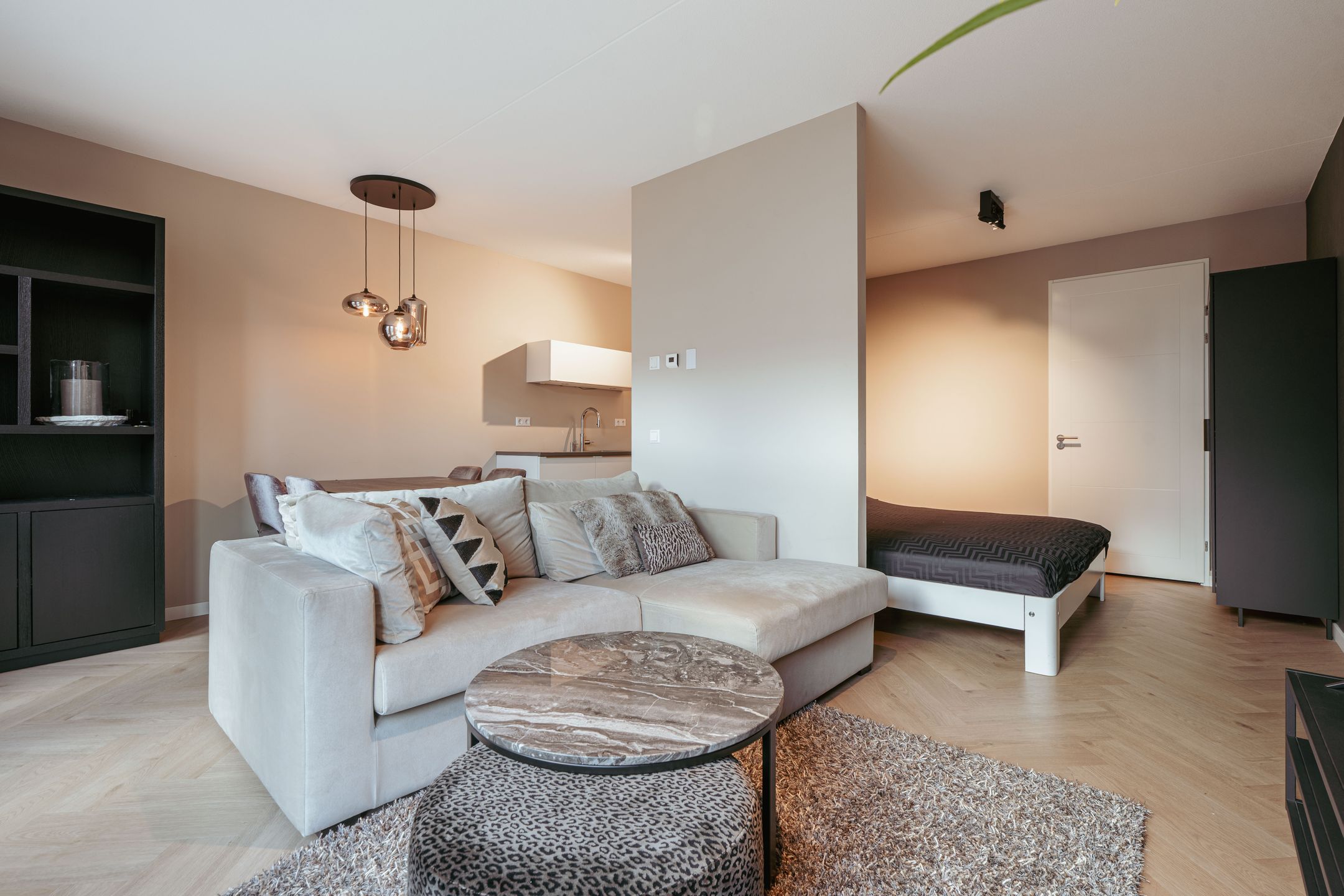 Photo 9 of Faas Wilkesstraat 389