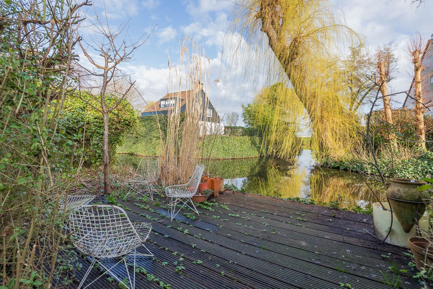 Foto 4 van Schaepmanlaan 62