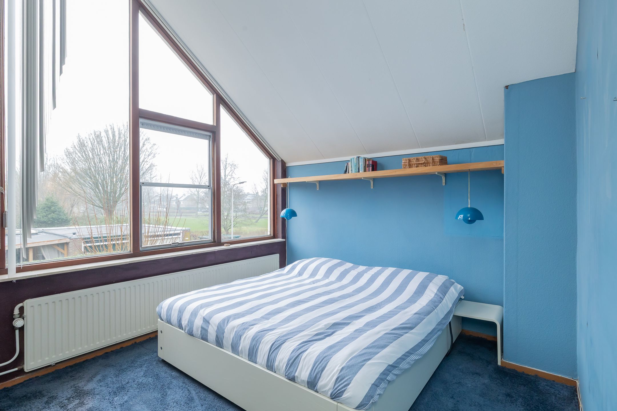 Foto 30 van Schaepmanlaan 62