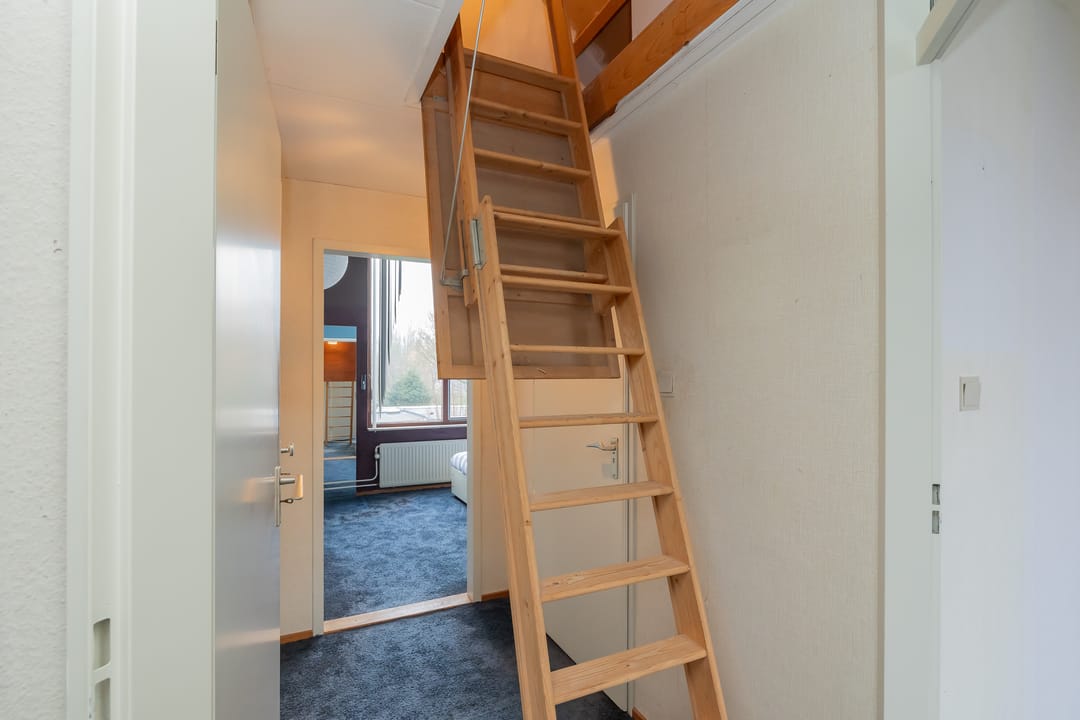 Foto 38 van Schaepmanlaan 62