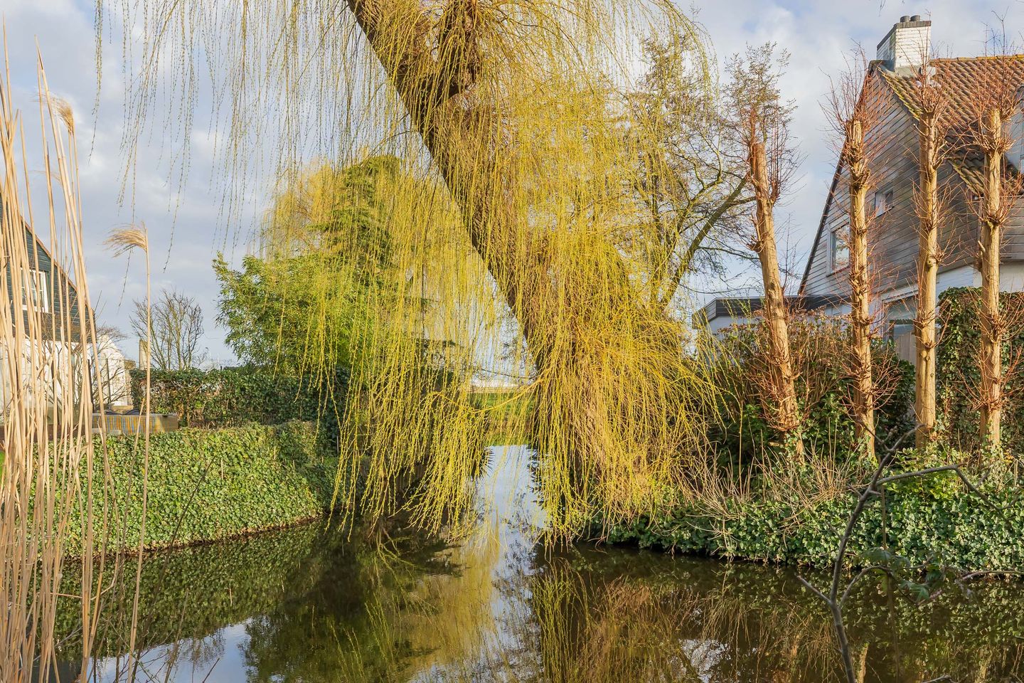 Foto 50 van Schaepmanlaan 62