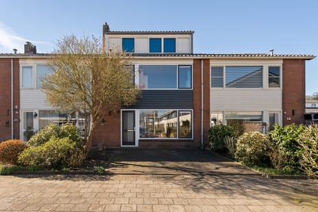 Lamoraal van Egmondstraat thumbnail