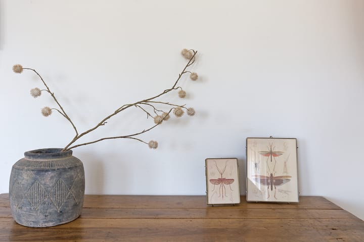 Photo 5 of Mary van der Sluisstraat 272