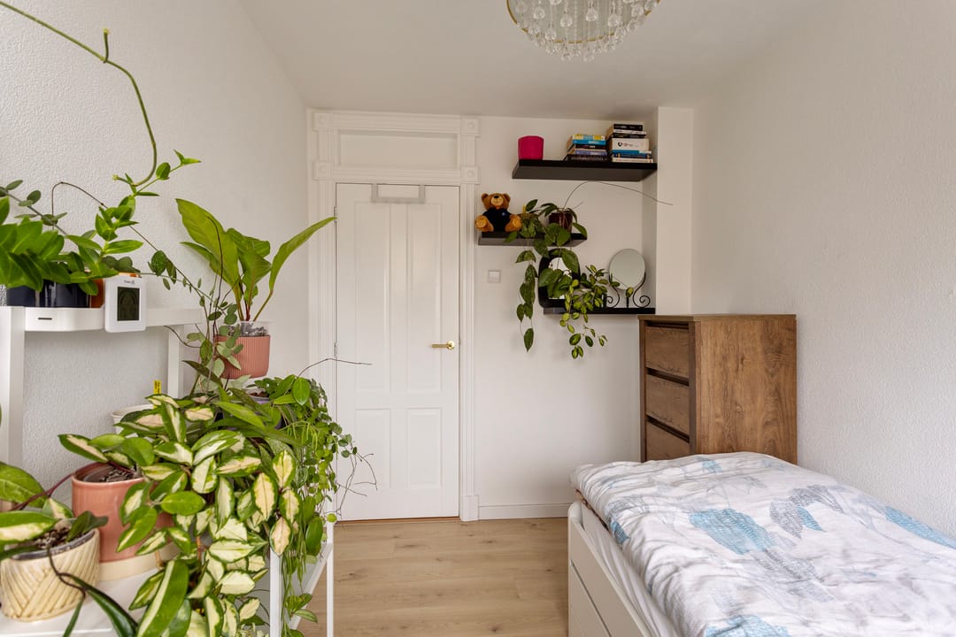 Foto 17 van Hertog Albrechtstraat 222