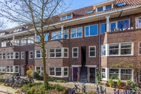 Orteliusstraat thumbnail