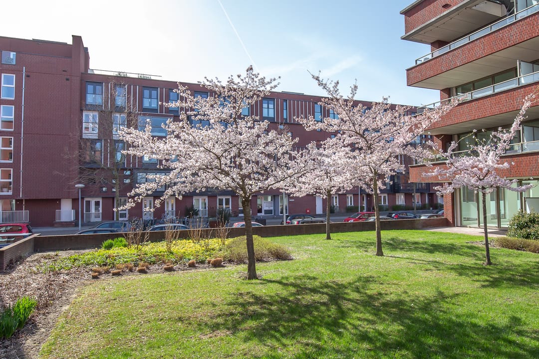 Foto 38 van Voorsterbeeklaan 100