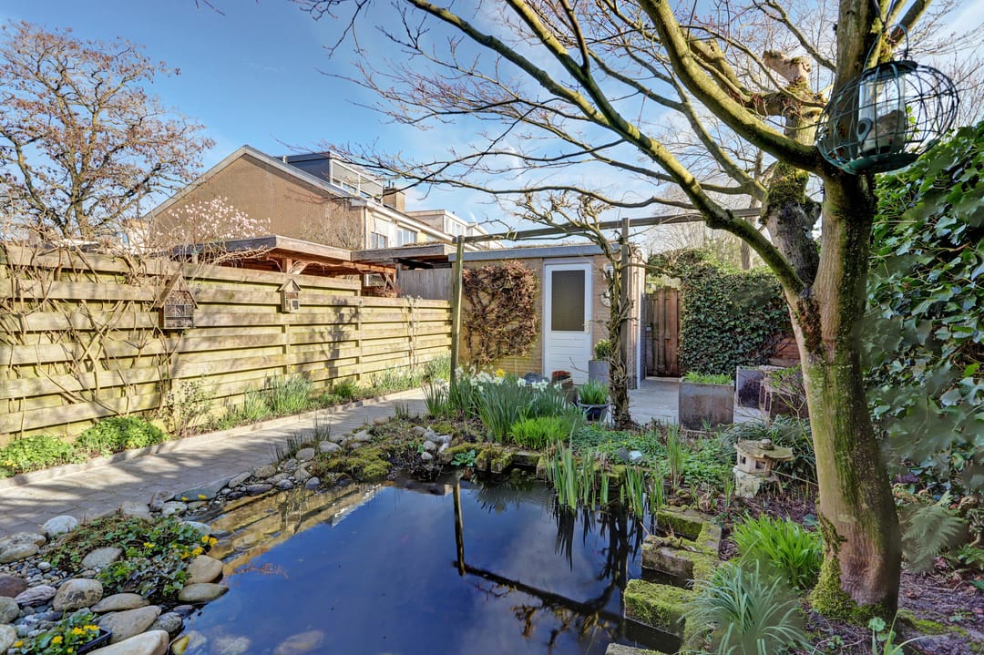 Foto 7 van Distelvlinderberm 114