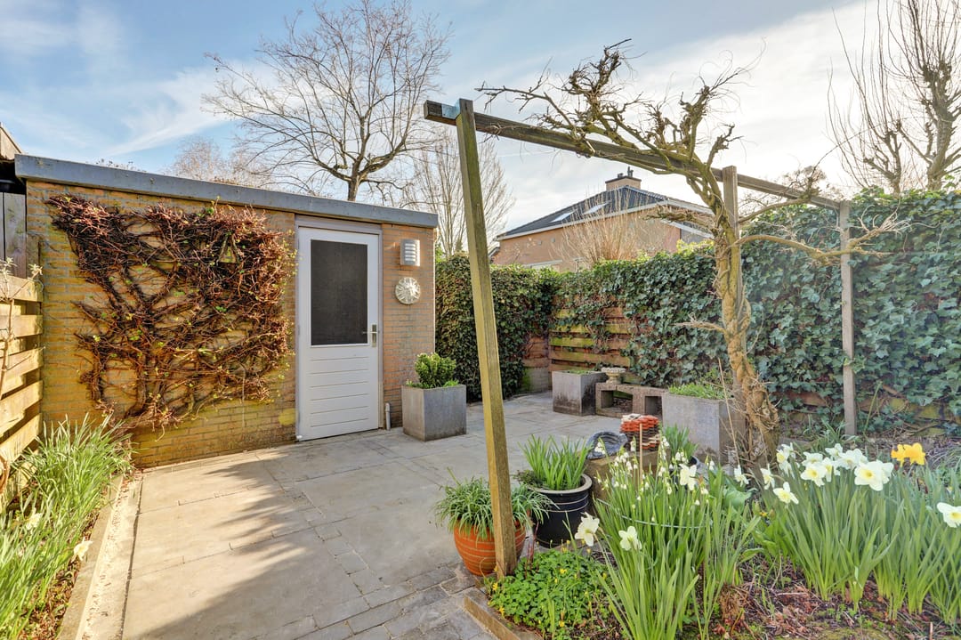 Foto 8 van Distelvlinderberm 114