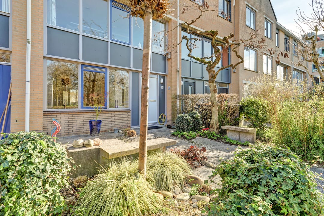 Foto 46 van Distelvlinderberm 114