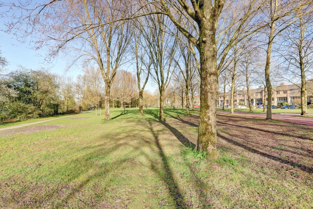 Foto 53 van Distelvlinderberm 114