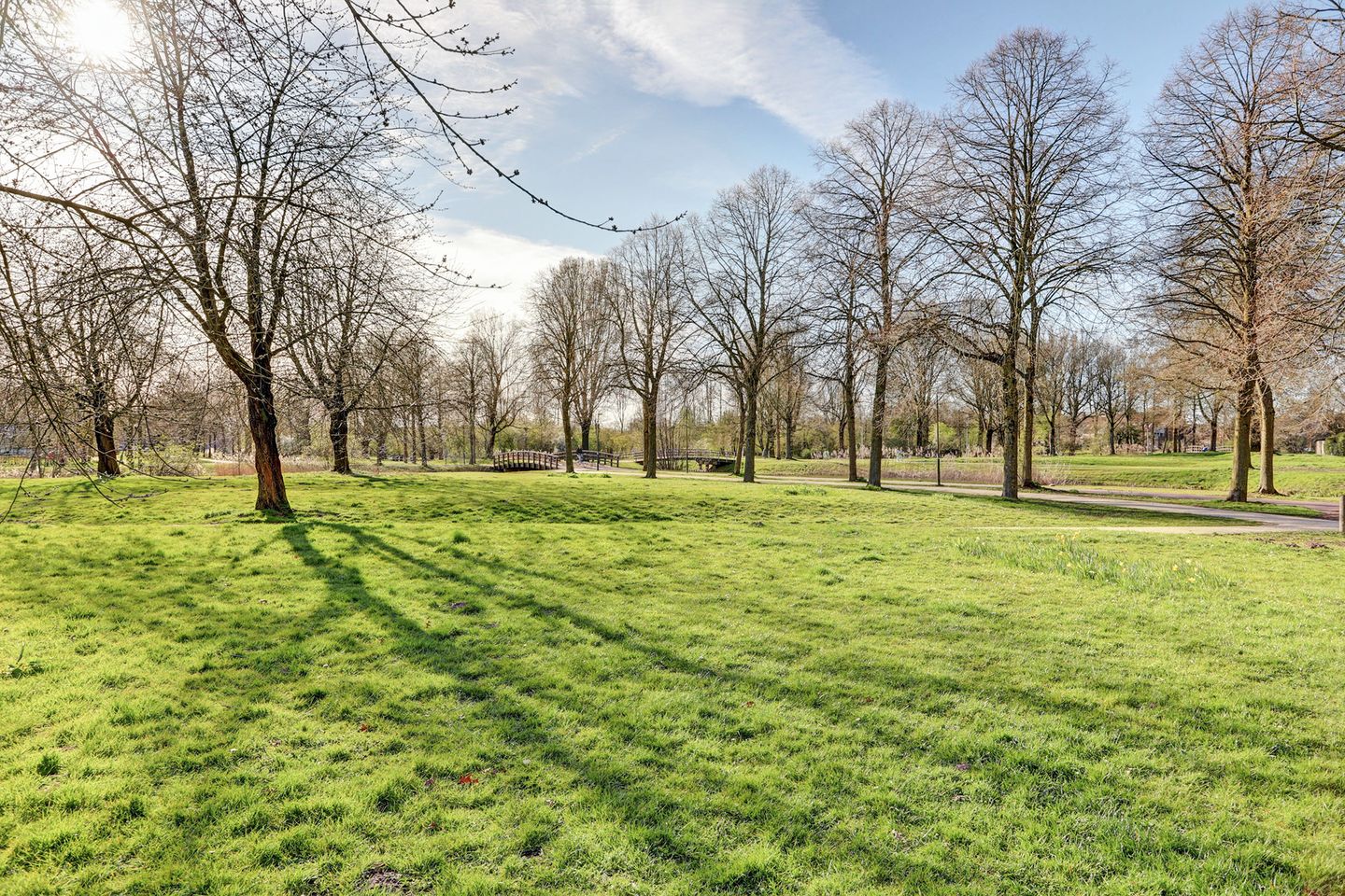 Foto 55 van Distelvlinderberm 114