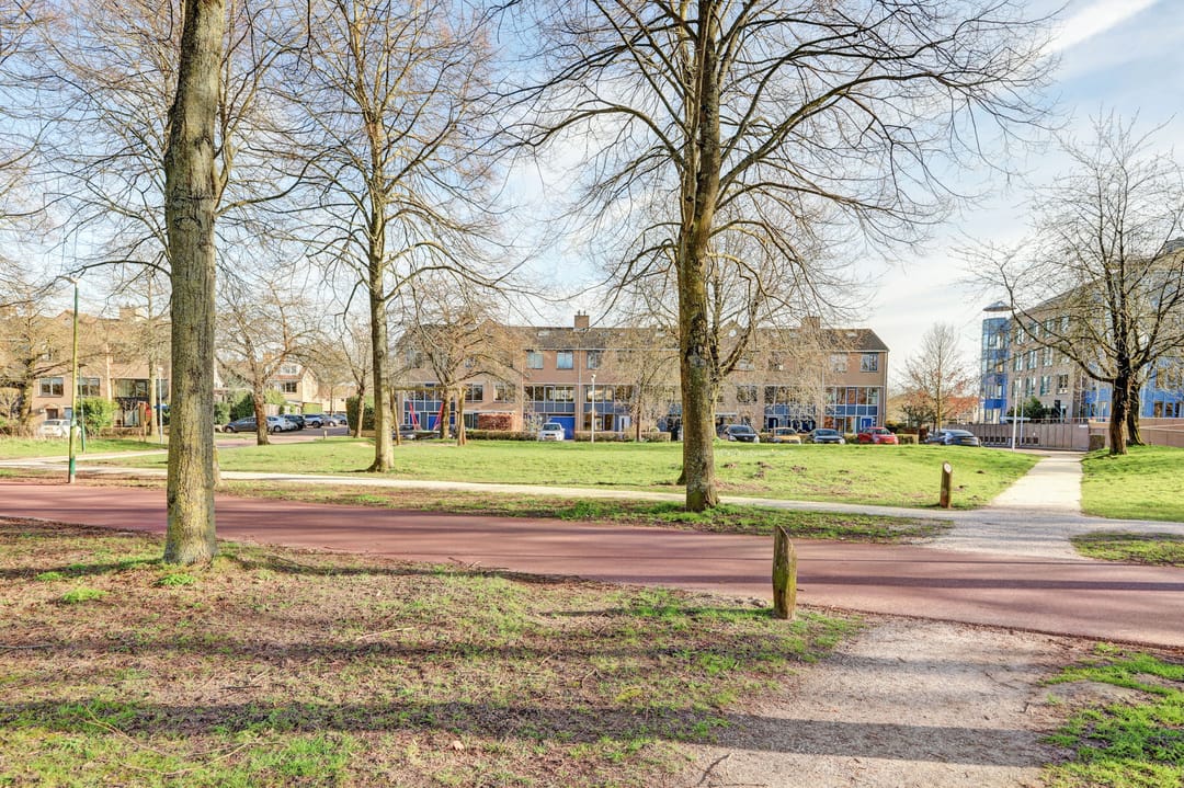 Foto 56 van Distelvlinderberm 114