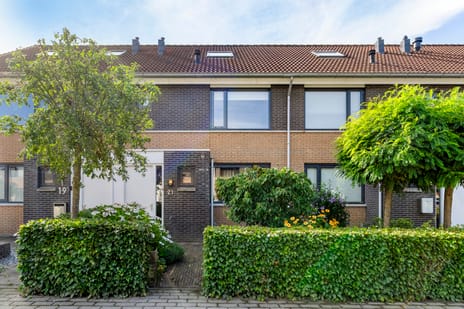 Erve Stegeman thumbnail