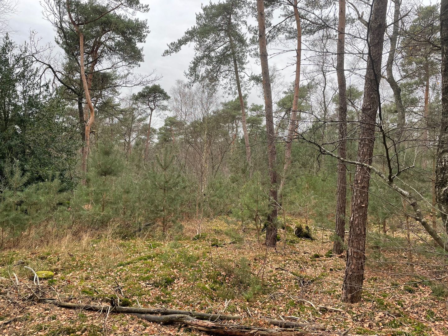 Bekijk foto 1 van Panoramaweg