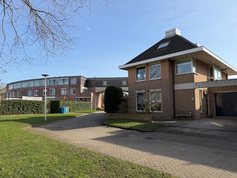 Heiligenbloem thumbnail