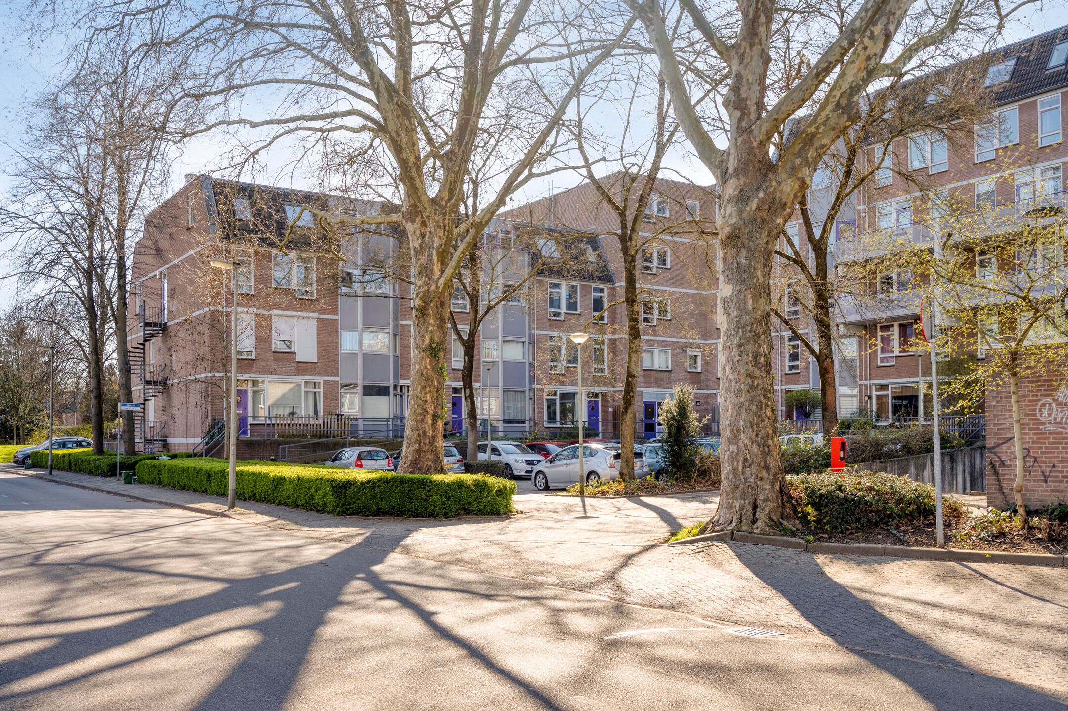 Photo 21 of Roserije 221-A