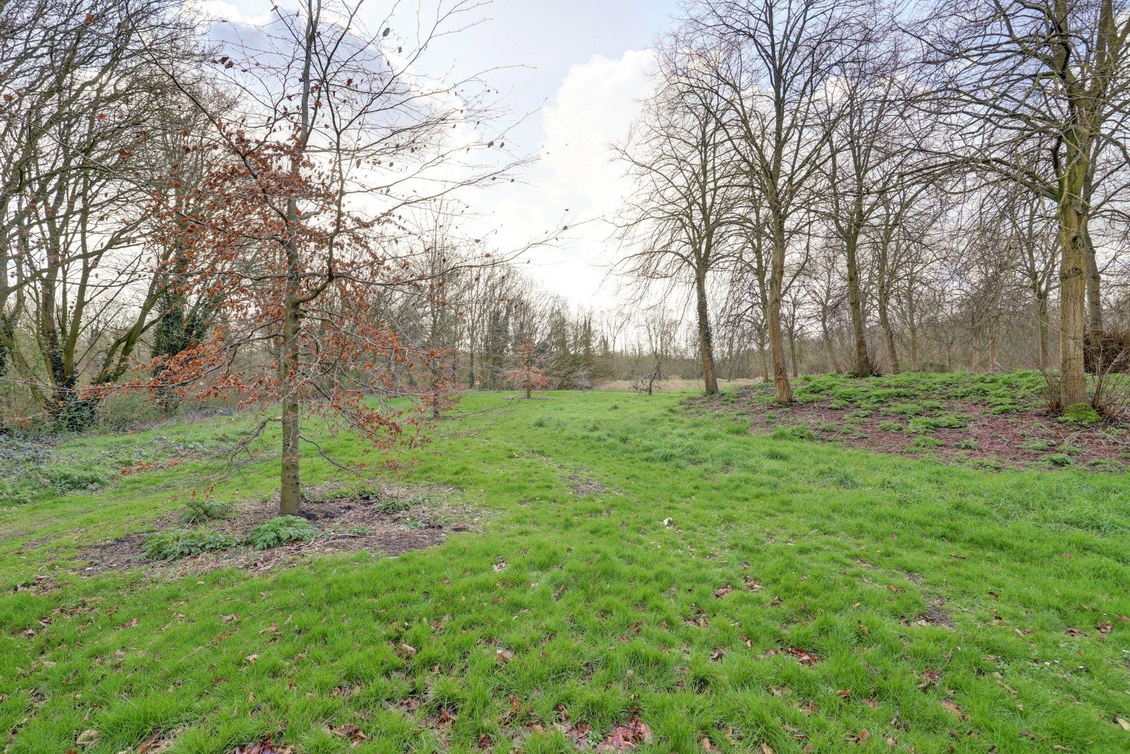 Foto 27 van Rigoletto 18