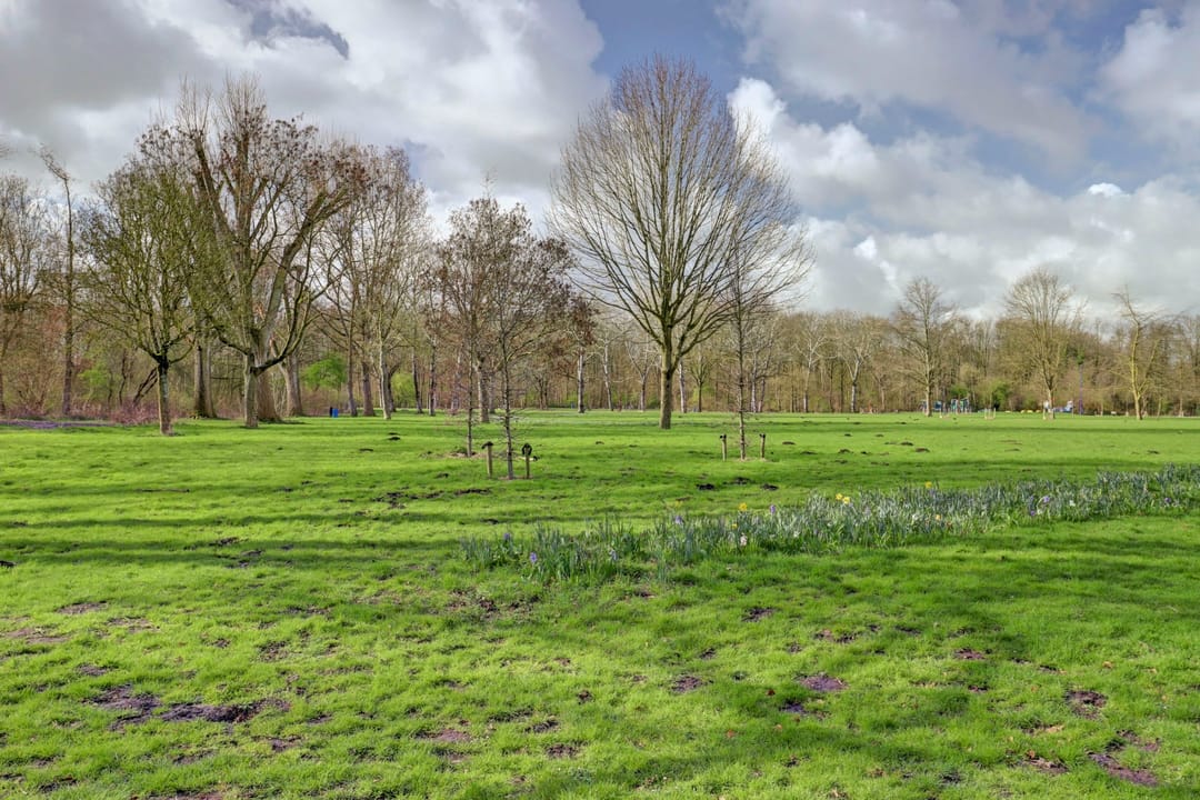 Foto 28 van Rigoletto 18