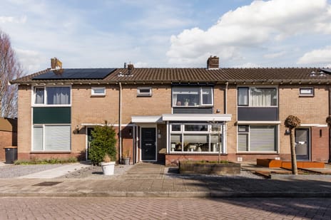 undefined main image