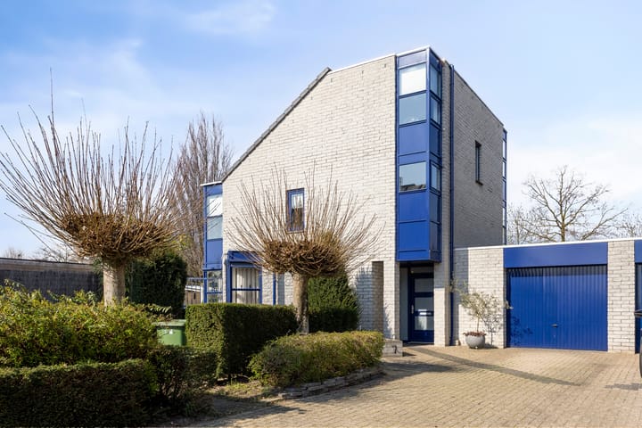 Seringelaar 7 main image