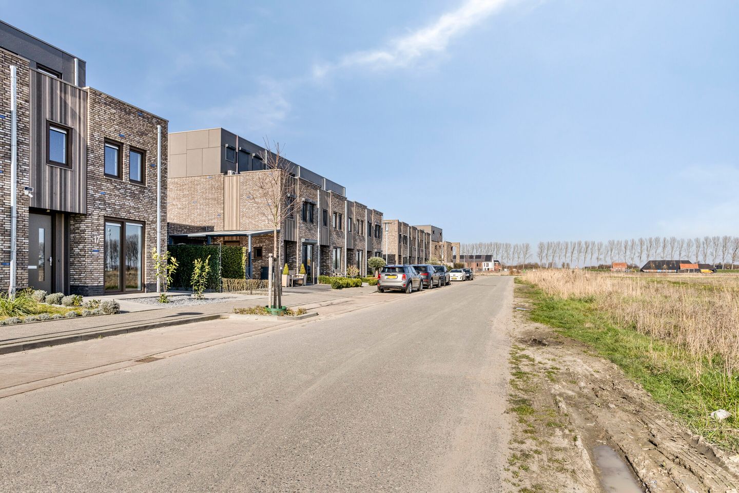 Foto 5 van Apollovlinder 17