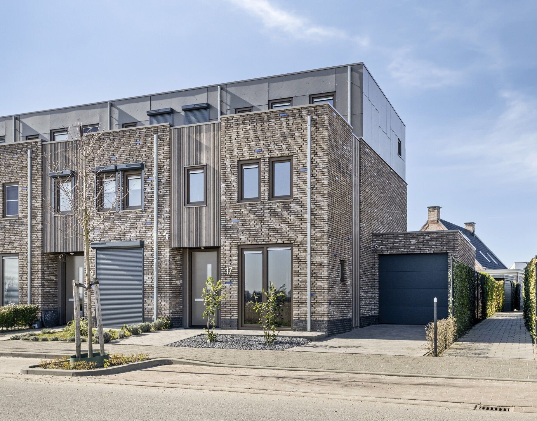 Foto 6 van Apollovlinder 17