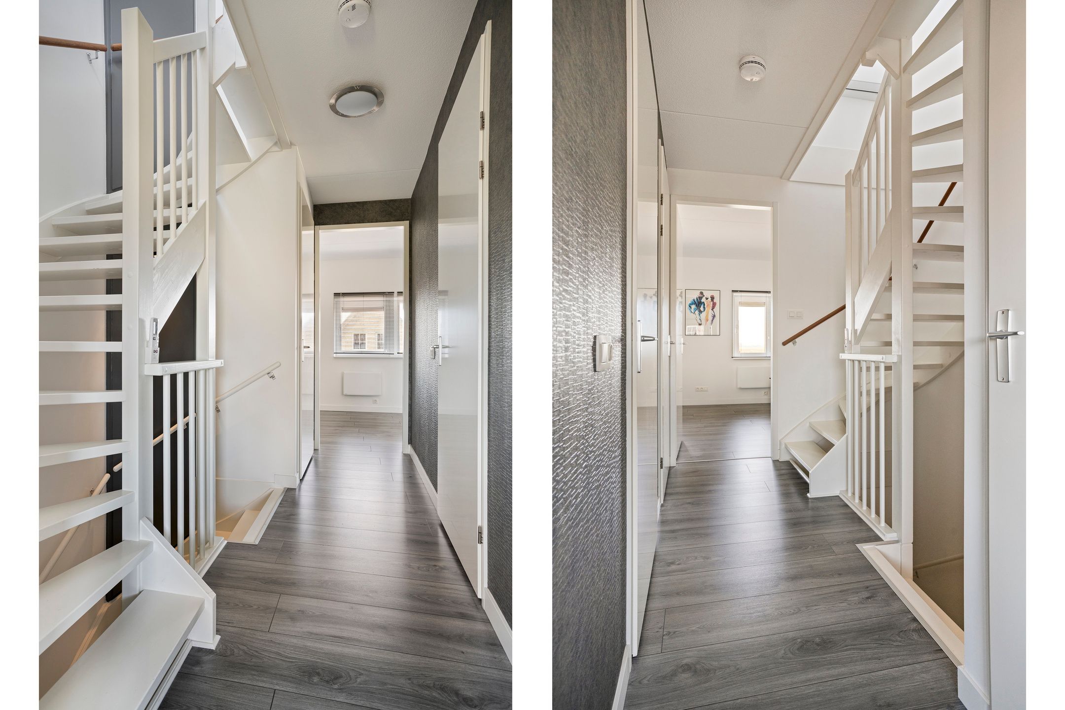 Foto 27 van Apollovlinder 17