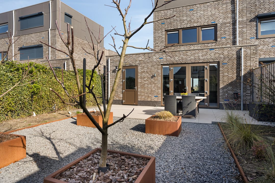 Foto 46 van Apollovlinder 17