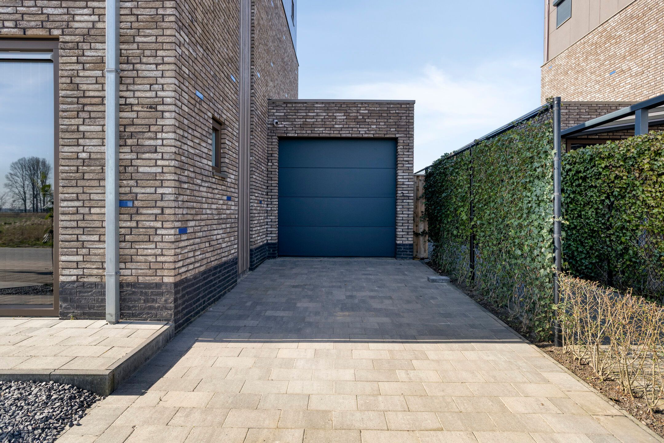 Foto 51 van Apollovlinder 17