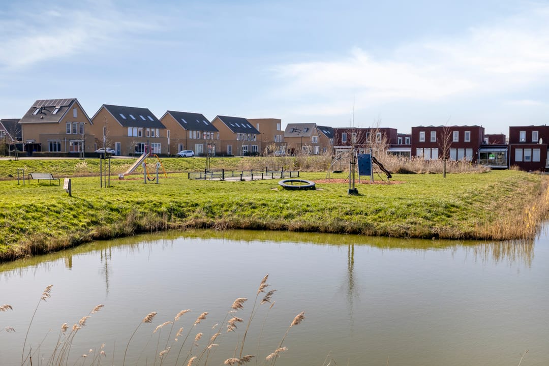 Foto 53 van Apollovlinder 17