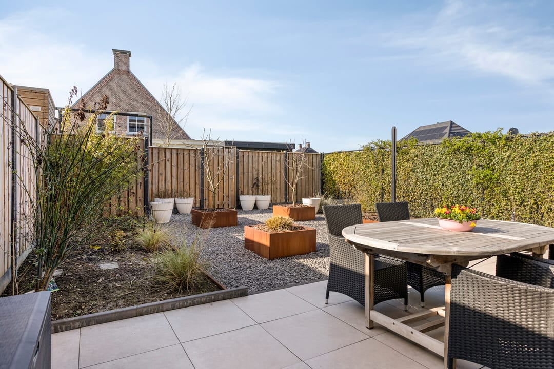 Foto 43 van Apollovlinder 17