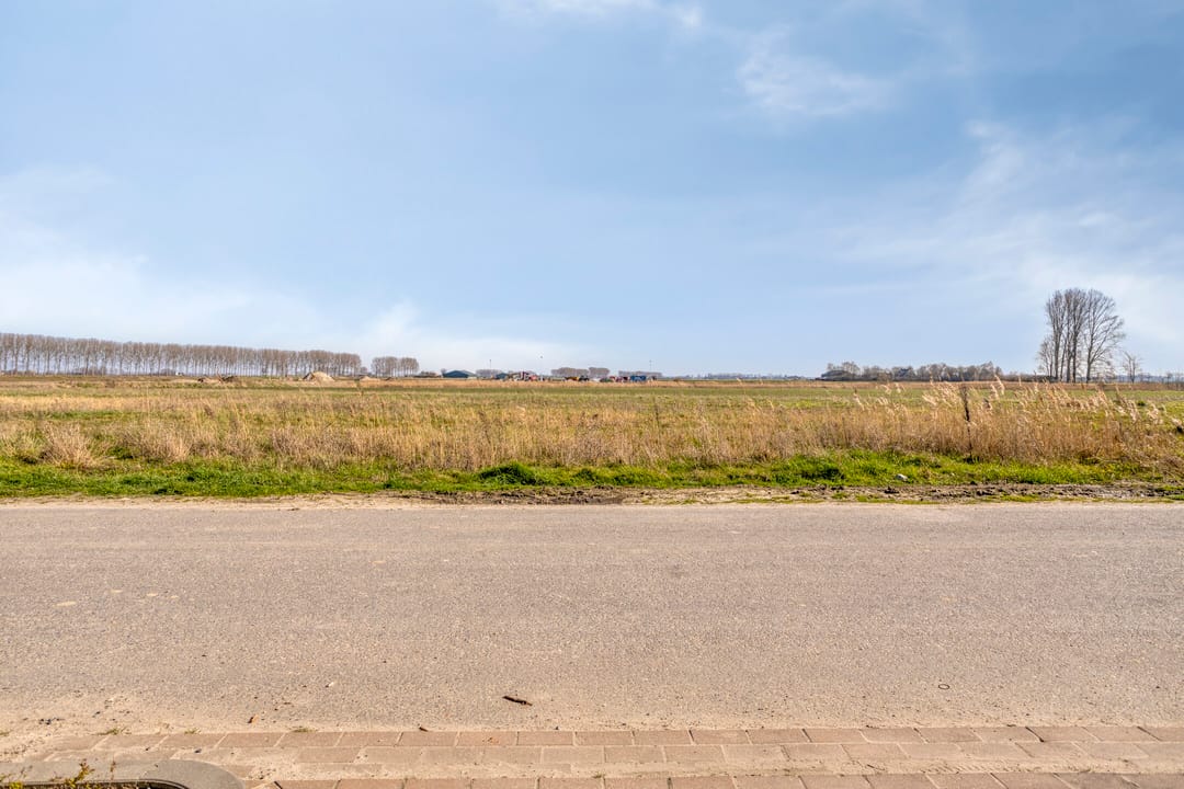 Foto 52 van Apollovlinder 17