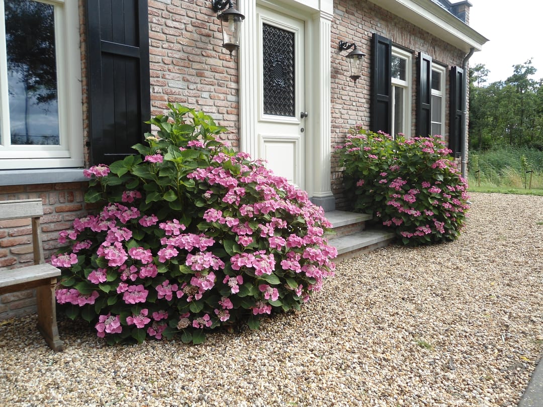 Foto 8 van Galathesedijk 5