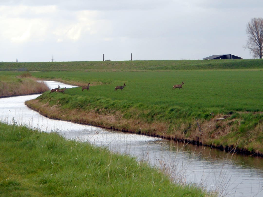 Foto 68 van Galathesedijk 5