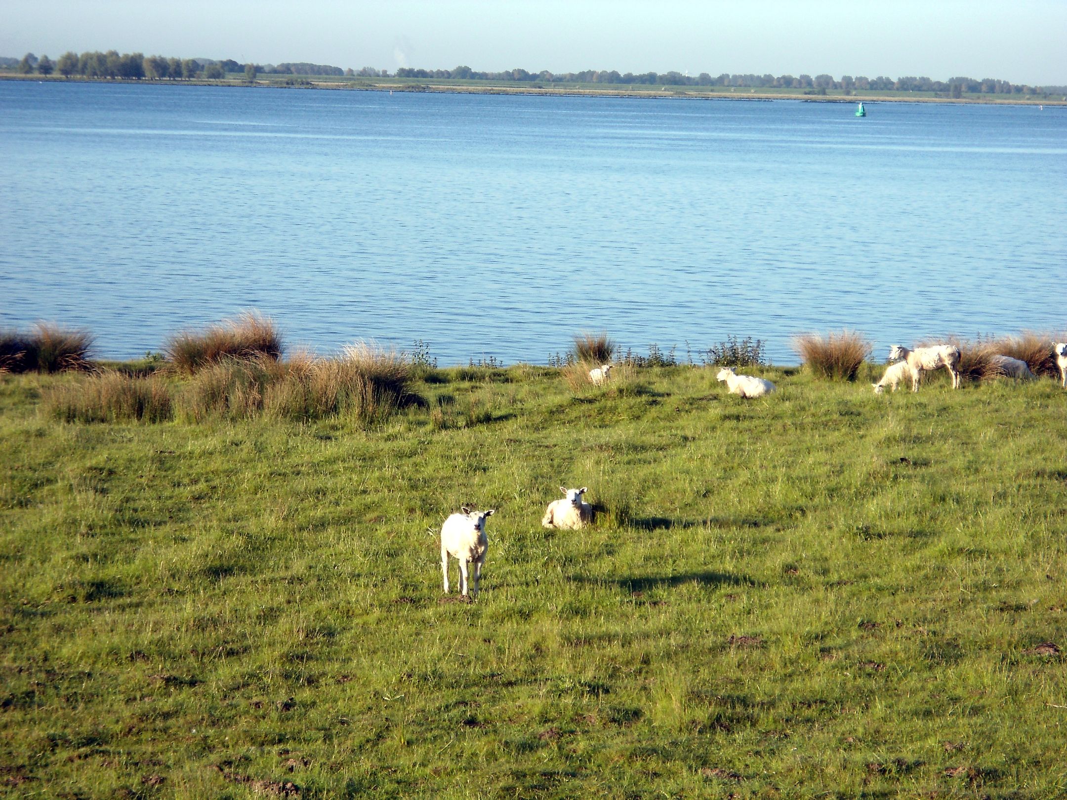 Foto 69 van Galathesedijk 5