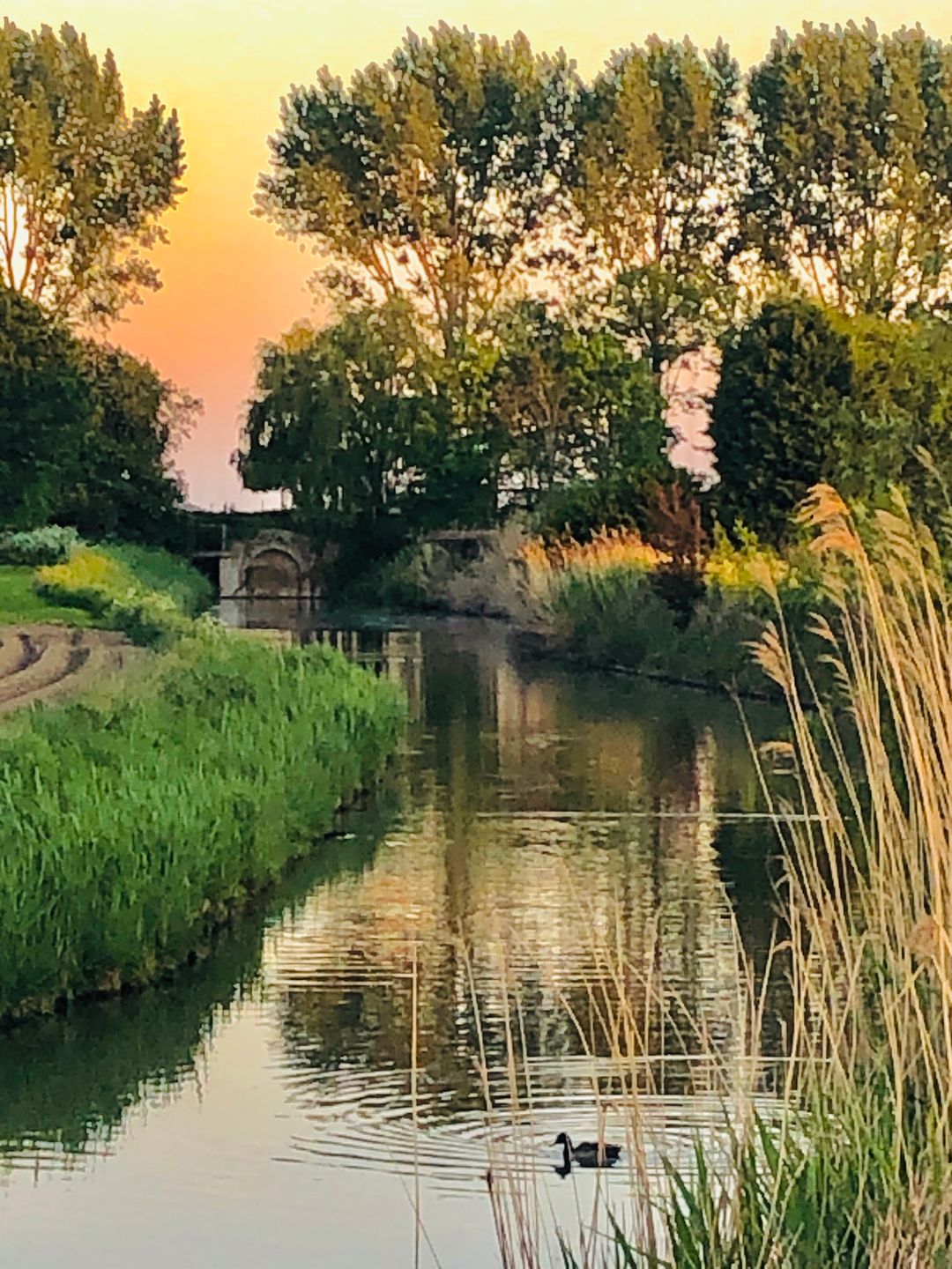 Foto 71 van Galathesedijk 5