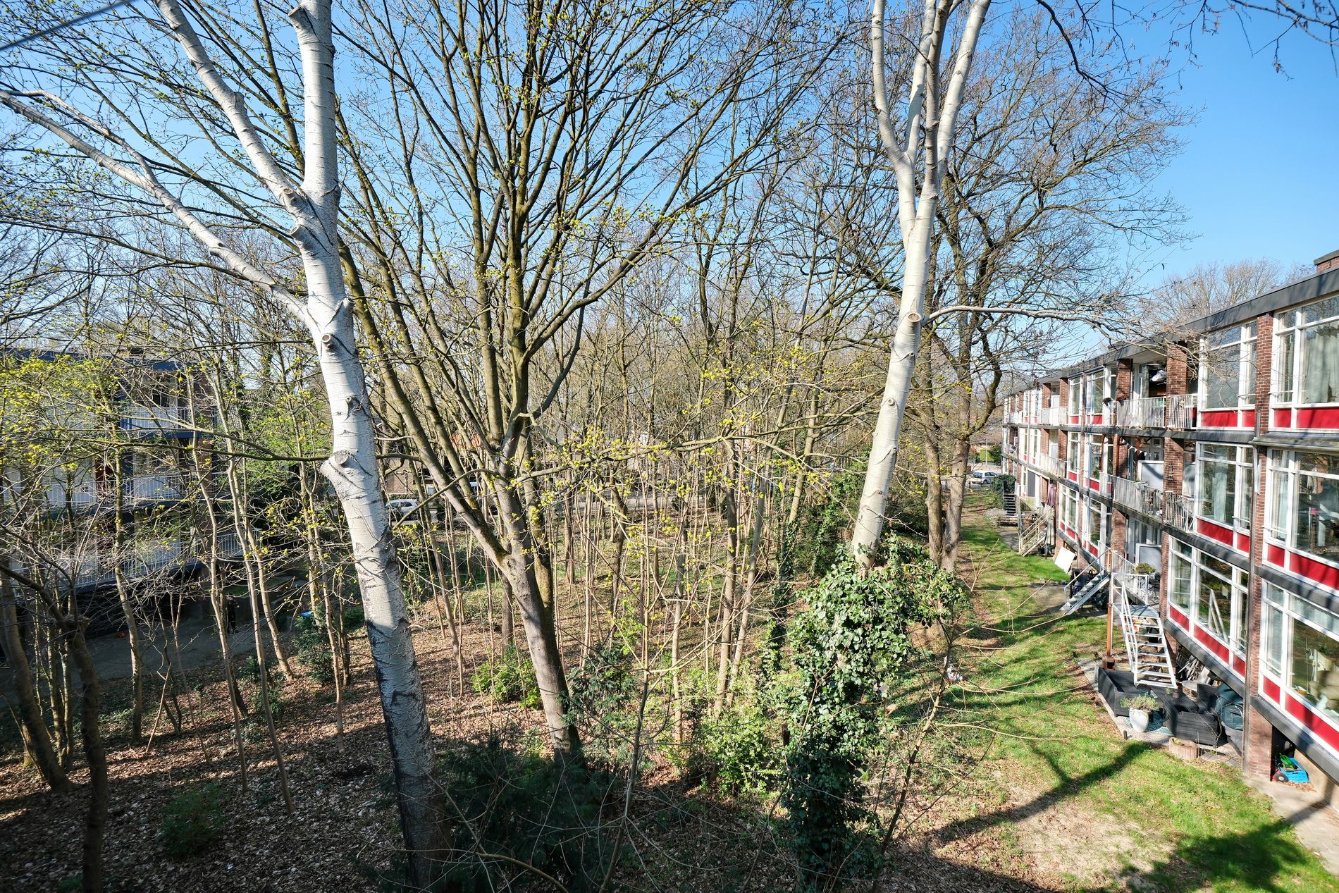 Photo 24 of Anna van Burenlaan 84