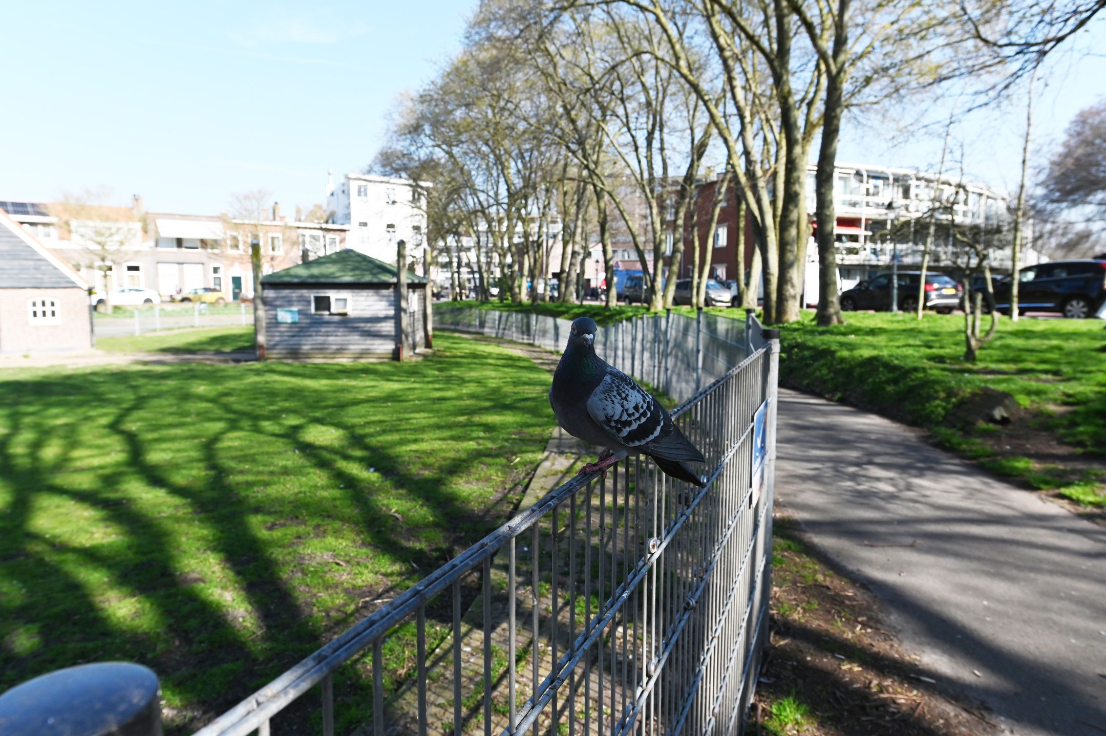 Photo 39 of Berkenbosch Blokstraat 81