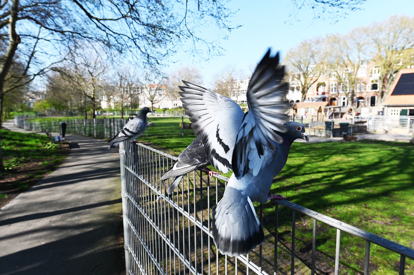 Photo 40 of Berkenbosch Blokstraat 81