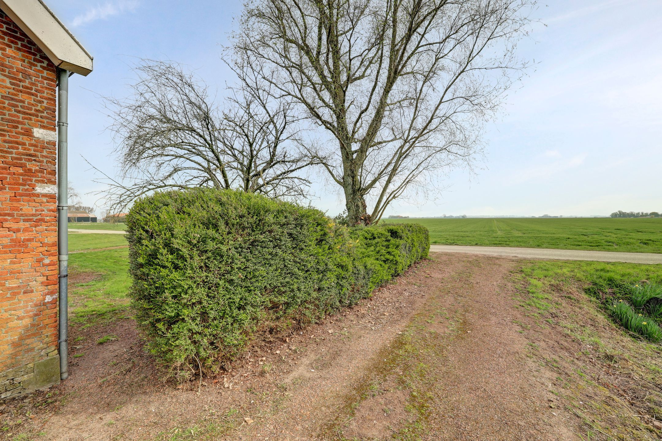 Photo 42 of Meerkoetweg 2