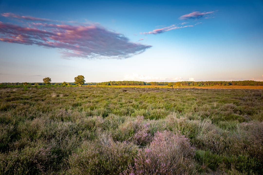 Foto 38 van Zenderstraat 61