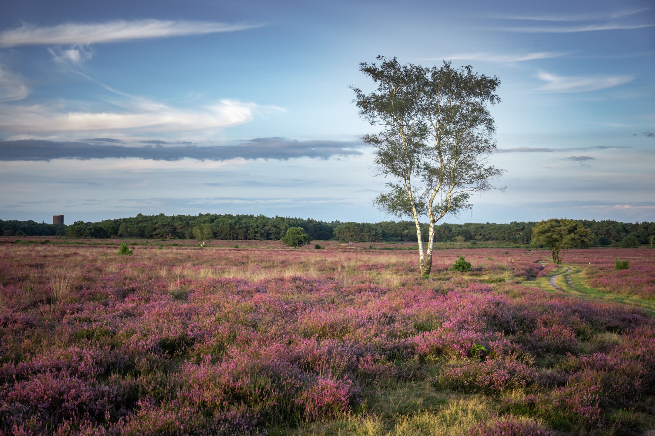 Foto 39 van Zenderstraat 61