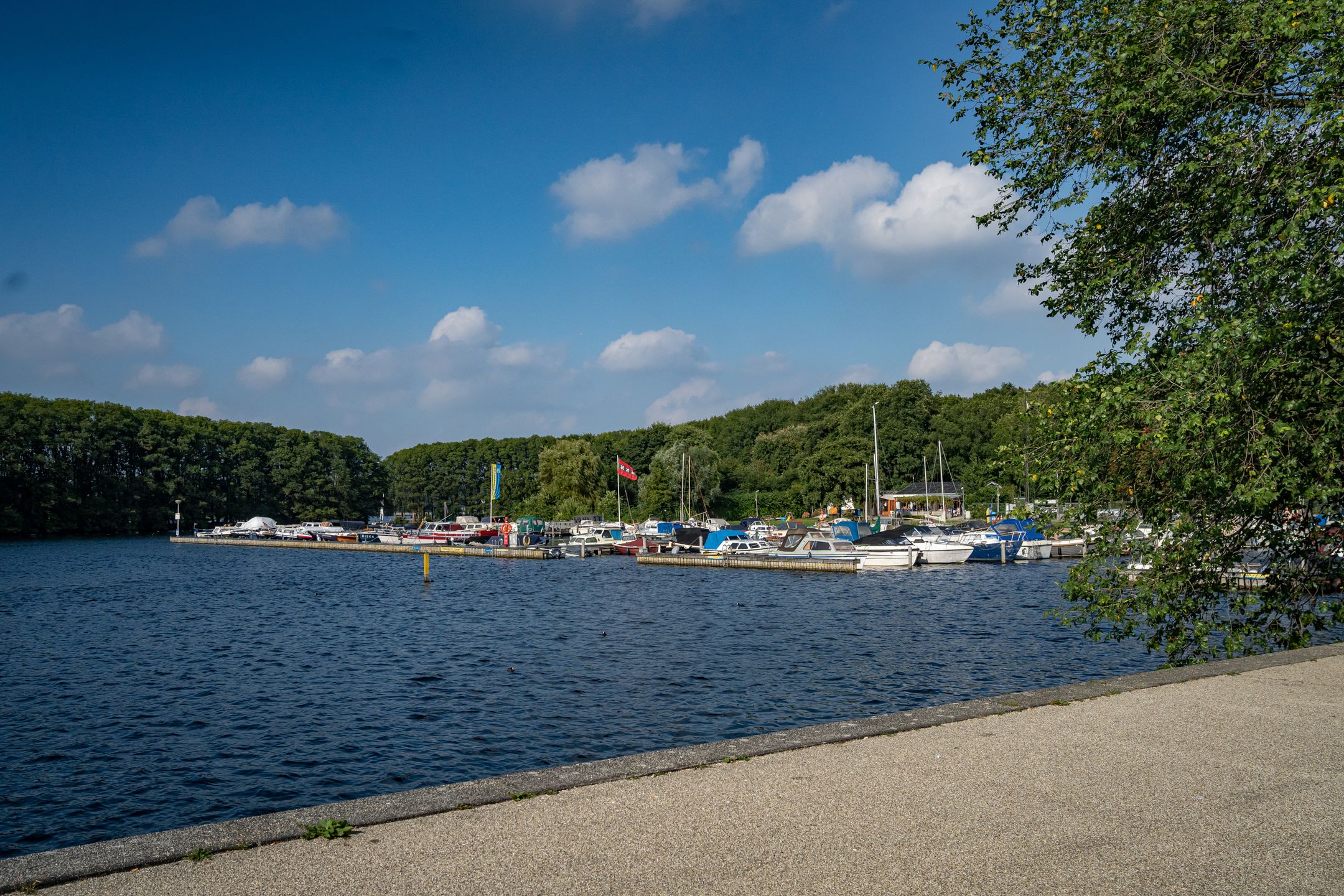 Photo 21 of Osdorper Ban 90-A31