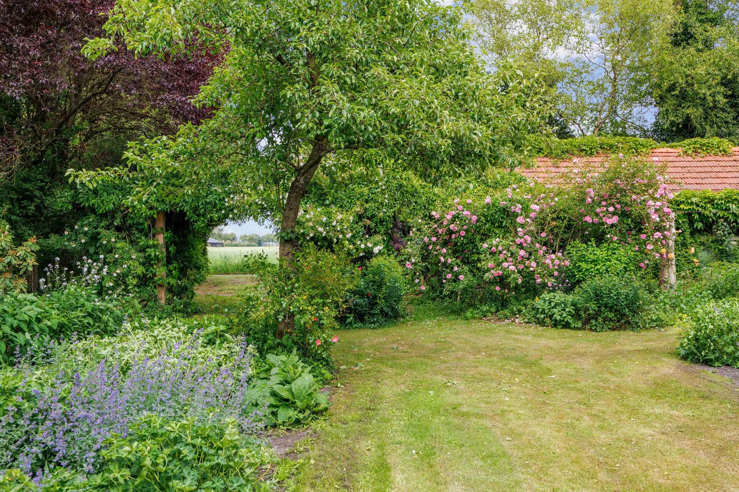 Foto 55 van Hoetmansmeer I 102