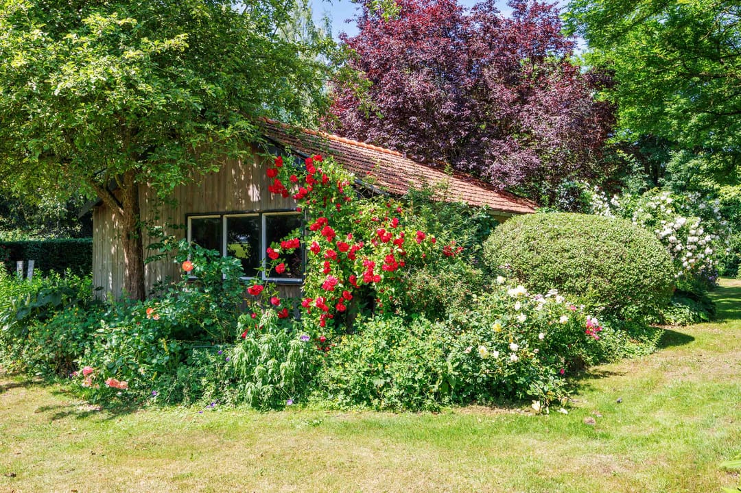 Foto 62 van Hoetmansmeer I 102