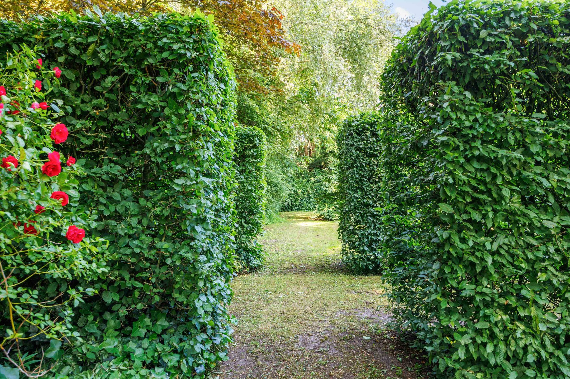 Foto 69 van Hoetmansmeer I 102