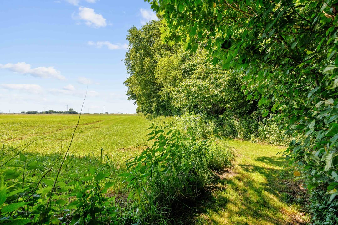 Foto 71 van Hoetmansmeer I 102